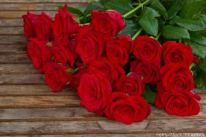 Pine River Ranch Bouquet of Red Roses