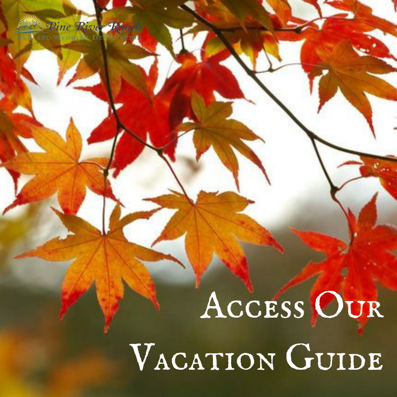 Download Our Leavenworth Vacation Guide
